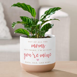 May include: A white and tan ceramic planter with a green plant. The planter has the text "OUT OF ALL THE moms OUT THERE, I'M SO GLAD you're mine" in pink script. The names MAYA, DAX, AND REMY are at the bottom.