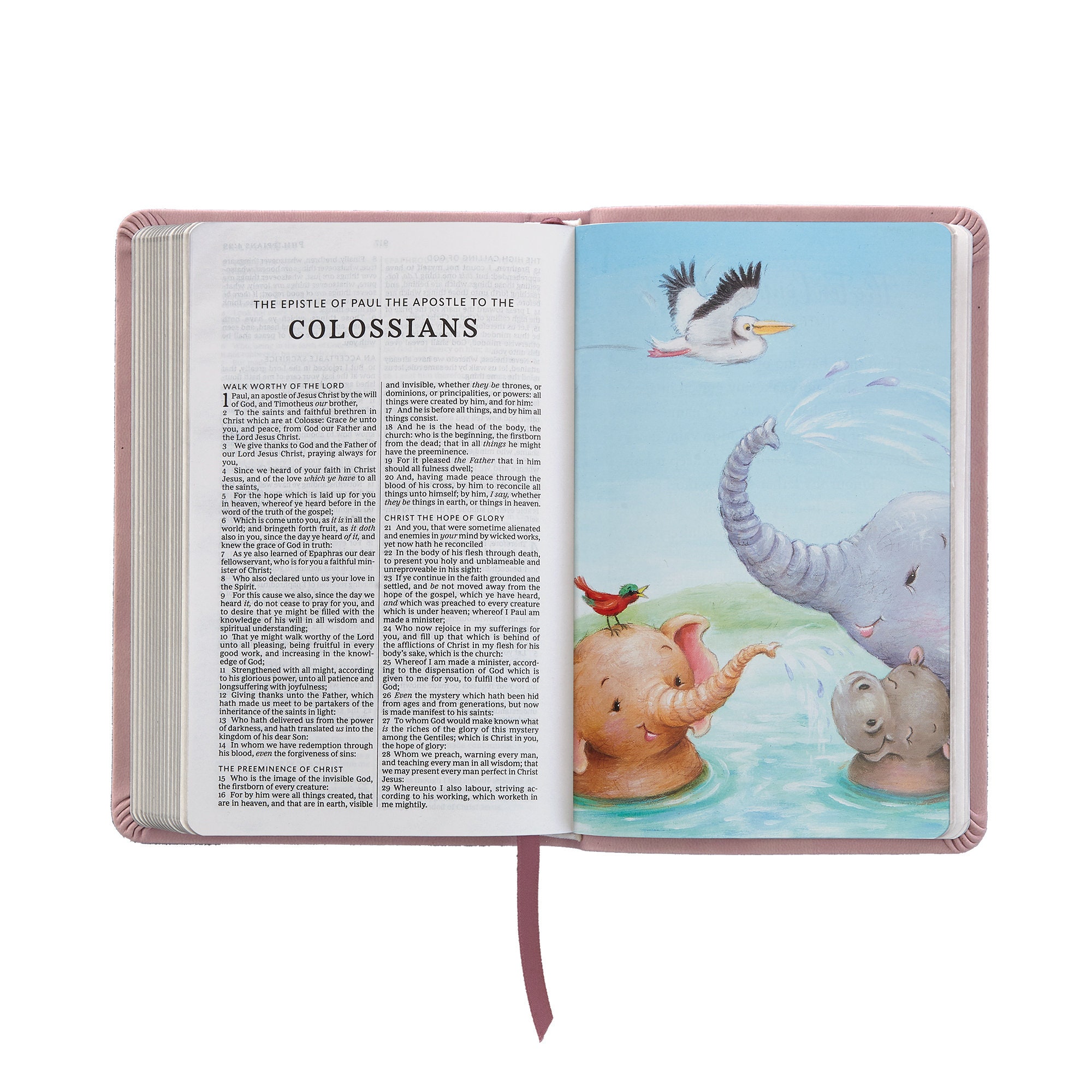 Personalized Create Your Own Children's Bible - Religious Gift - KJV Bible - Keepsake For Baby - Children's Bible - Choose Pink or Blue
