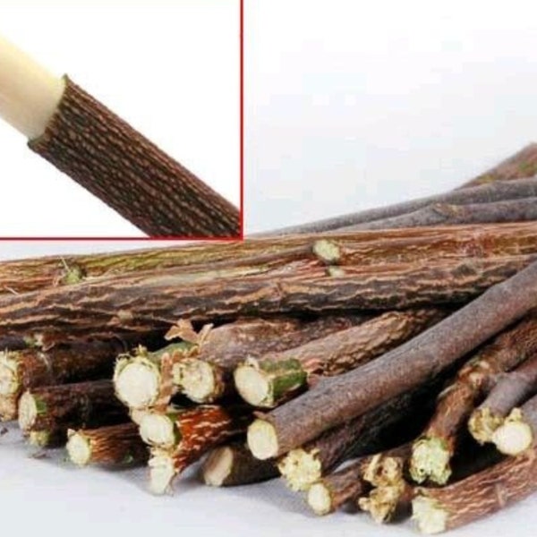 Organic Neem Chew Sticks, 100% Natural & Organic, Neem Wooden Chew Sticks {Certified Product}