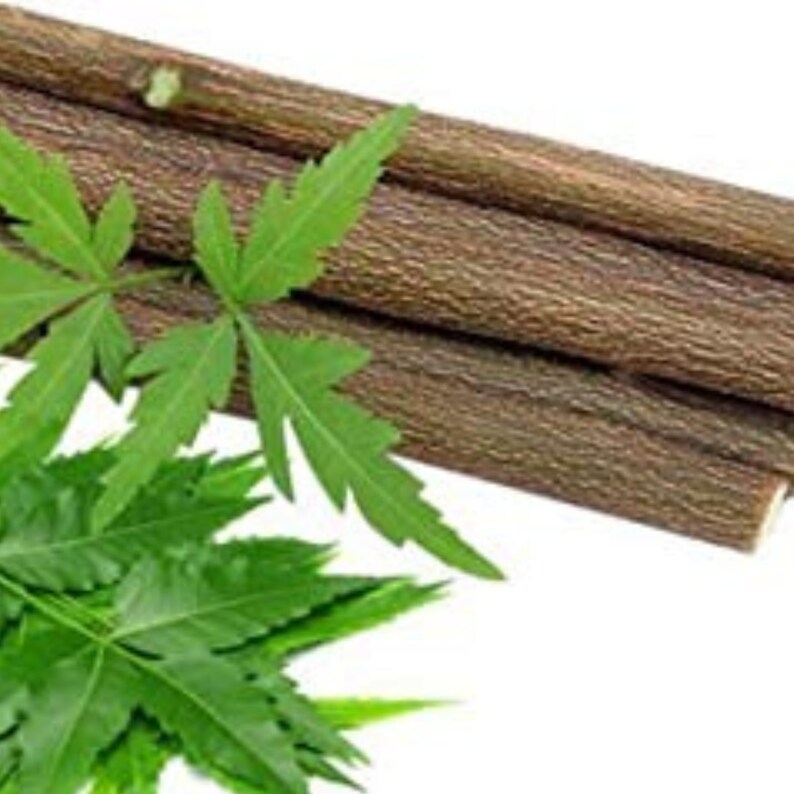 Organic Neem Chew Sticks, 100% Natural & Organic, Neem Wooden Chew Sticks Certified Product image 3