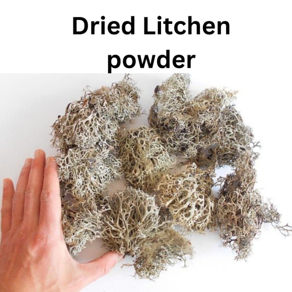 Usnea Lichen Whole (Usnea barbata) Dagad Phool Powder