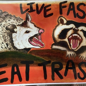 Raccoon & Opossum Art Print