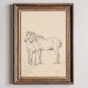 Minimalist Horse Drawing Print: Vintage Equestrian Sketch