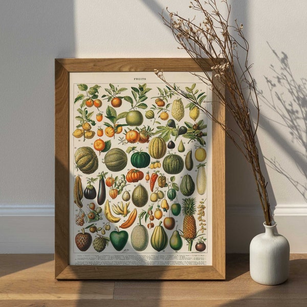Fruit Wall Art Etsy