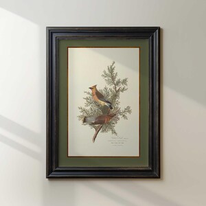 May include: Framed print depicting two birds on a branch with green foliage. The birds have brown, tan, and grey feathers. The print is set against a light green mount and framed in a black wooden frame. The print has text at the bottom.