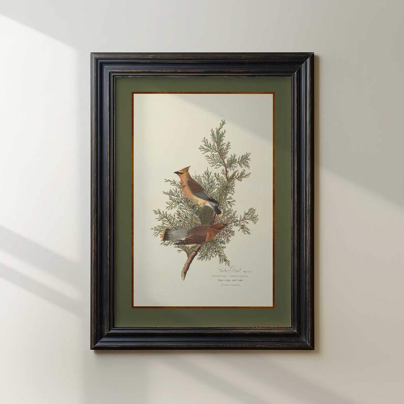 May include: Framed print depicting two birds on a branch with green foliage. The birds have brown, tan, and grey feathers. The print is set against a light green mount and framed in a black wooden frame. The print has text at the bottom.