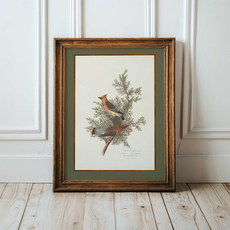 May include: A framed print depicting two Cedar Waxwings on a branch with green foliage. The birds have brown, tan, and grey feathers. The print is set against a green mount and framed in a brown wooden frame. The artwork is displayed on a white wall.