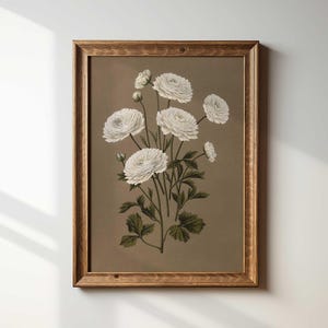 Vintage Botanical Print: French Country White Flower Illustration