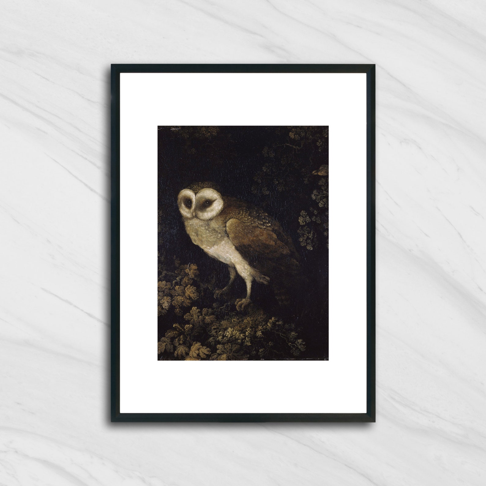 Vintage Owl Print Print of Antique Bird Painting Owl in the Etsy