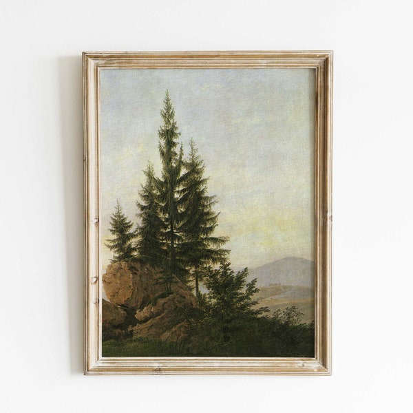 Impression vintage de pins, peinture à l'huile antique de pins dans une vallée