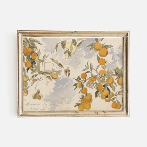 Orange Tree Painting Print, Vintage Watercolour Painting, Mediterranean Wall Art