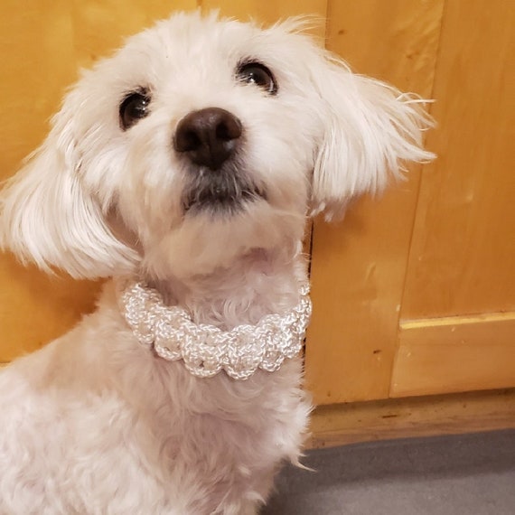 Braided Dog and Cat Collar