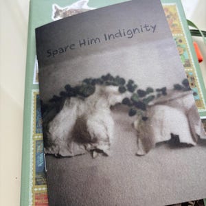 Spare Him Idignity - Poetry Zine