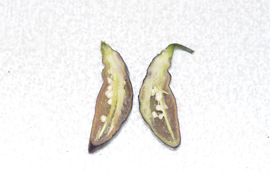 Peperoncino Pimenta Da Neyde | VIRIDEA