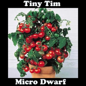 Puede incluir: Un letrero de madera rústico con el texto "Welcome to our home" en letras blancas. El letrero presenta un acabado envejecido y un diseño simple y acogedor, ideal para la decoración de la puerta principal.