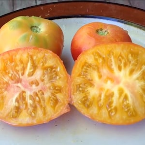 May include: A plate holds four ripe tomatoes, two whole and two halved. The halved tomatoes reveal a vibrant orange interior with a pinkish center. The whole tomatoes are orange and green. The plate has a brown rim.