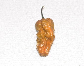 Peper D peperzaden