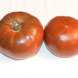 Puede incluir: Dos tomates grandes de color rojo oscuro. Un tomate tiene un tallo verde unido a la parte superior.