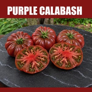Può includere: Tre pomodori Purple Calabash interi e due tagliati a metà con buccia costolata rosso-viola scuro e interni rosso vivo con semi visibili. Il testo PURPLE CALABASH è visualizzato in lettere maiuscole bianche nella parte superiore dell'immagine.