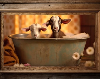 Puede incluir: Dos cabras bebés están sentadas en una bañera blanca con agua jabonosa. Las cabras miran a la cámara. La bañera está en un marco de madera.
