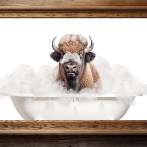 Bison Poster, Bison Poster, rustikale Bauernhaus Dekoration, Büffel Geschenk, Badezimmer Poster, lustige Tierfotografie