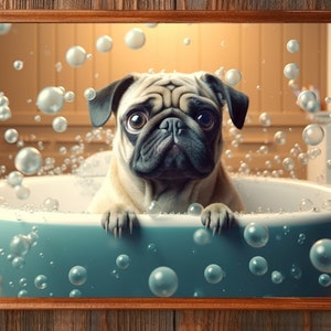 以下が含まれることがあります： 青いバスタブに泡がたっぷり入った中で、パグ犬が座っています。犬は真面目な表情で、カメラを見つめています。犬の周りをたくさんの泡が漂っています。