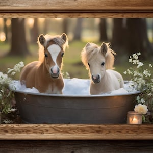 Baby Horse print, farmhouse decor, bathroom decor, rustic wall art, farm animal photography