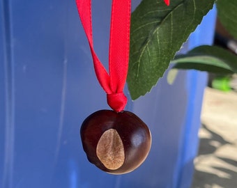 Buckeye Ornament, Ohio State Ornament, Buckeyes Christmas Gift, Buckeye Fan, OSU, Christmas, Real Buckeye Nut