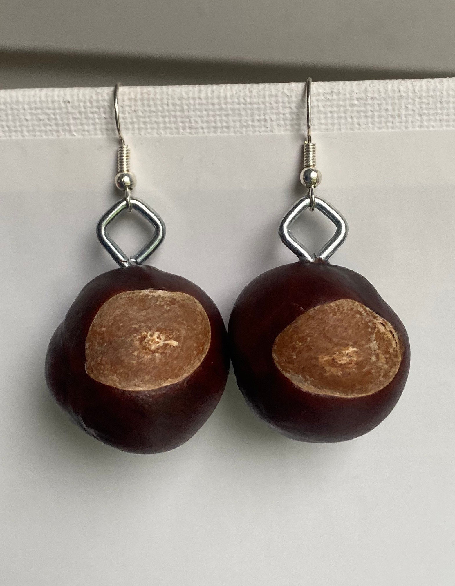 Real Buckeyes Real Buckeye Earrings: Ohio State Buckeyes Jewelry, Nickel Free - Etsy
