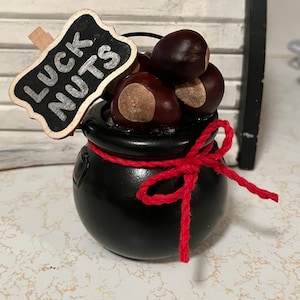 Ohio State Buckeyes St. Patrick&#39;s Day Dekor: Topf voller Lucky Buckeye Nüsse