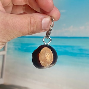 Lucky Buckeye Keychain, Ohio State Keychain, Buckeyes fan gift, Ohio State Fans Men or Women, Real Buckeye Keychain