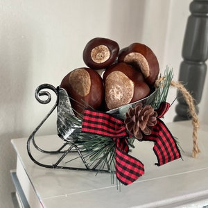 Buckeyes Sleigh Ornament, Ohio State Decor, Gift for Ohio State Fan, Ohio State Christmas Ornament, Real Buckeyes Christmas Ornament Decor