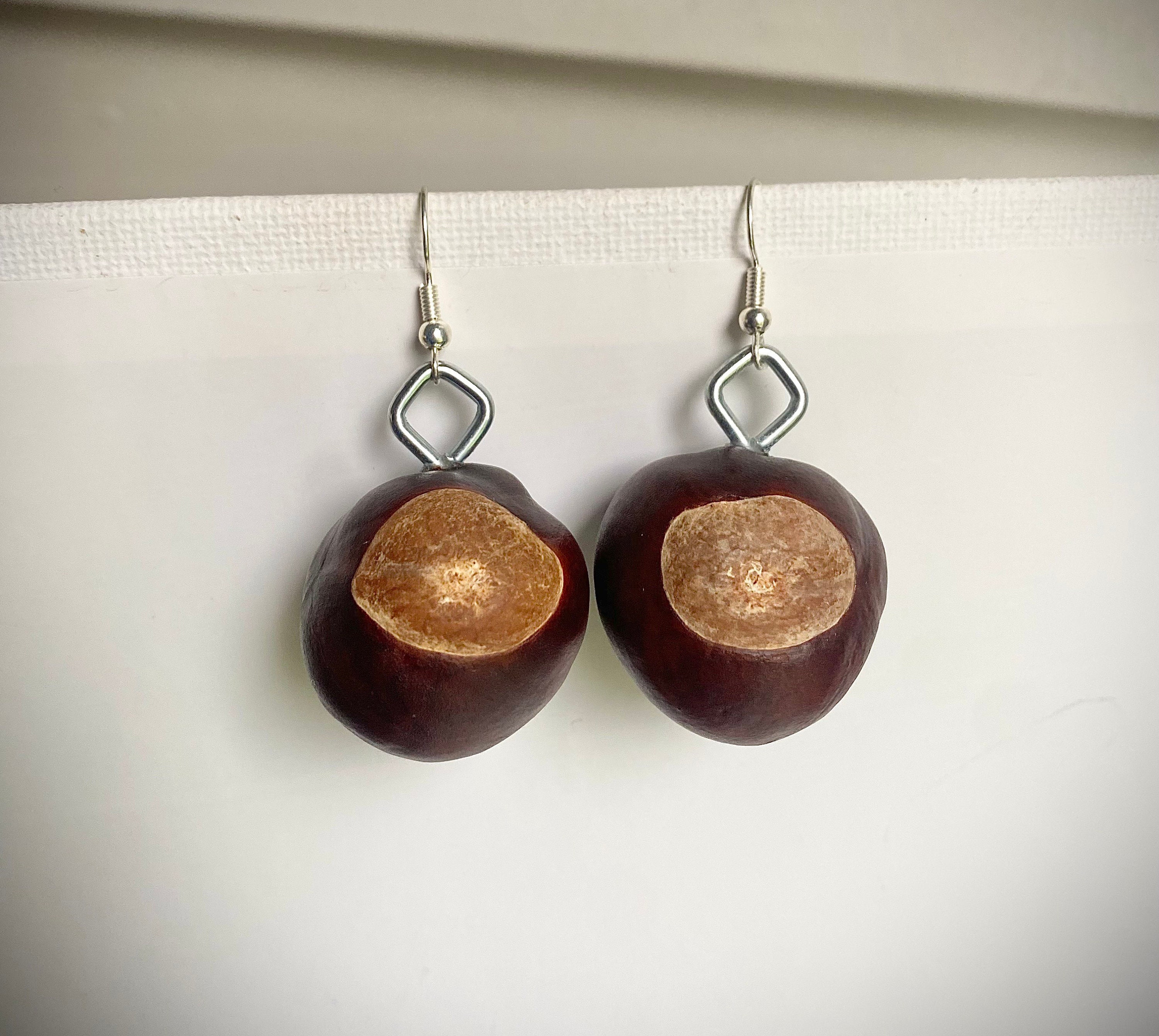 Real Buckeyes Real Buckeye Earrings: Ohio State Buckeyes Jewelry, Nickel Free - Etsy