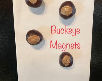 Ohio State Magnets, Set of 4 Real Buckeye Refrigerator Magnets, Ohio State Decor, Buckeyes Fan Gift, Ohio Stocking Stuffers, Buckeye Magnets