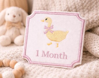 1-12 Month Baby Milestone Cards
