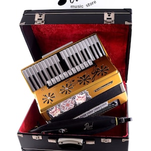 ACCORDÉON WELTMEISTER STELLA 120 professionnel haut de gamme sur mesure, 16 sw. + Étui rigide et nouvelles bretelles en cuir de haute qualité ~ Remis à neuf