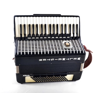 Vintage German Made Top Quality LMMH Accordion Weltmeister Stella - 96 bass, 16 reg./master switch + HardCase & Straps ~ Fisarmonica - VIDEO