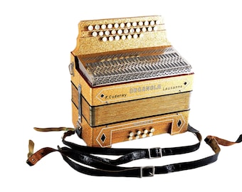 （希少）ヴェルトマイスター　アコーディオン Vintage Weltmeister Accordion – German Made, 80 Bass with Hard