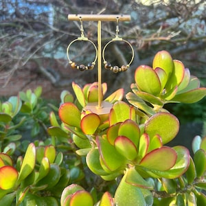 Alyssa Hoop Earrings