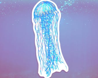 jellyfish matte sticker