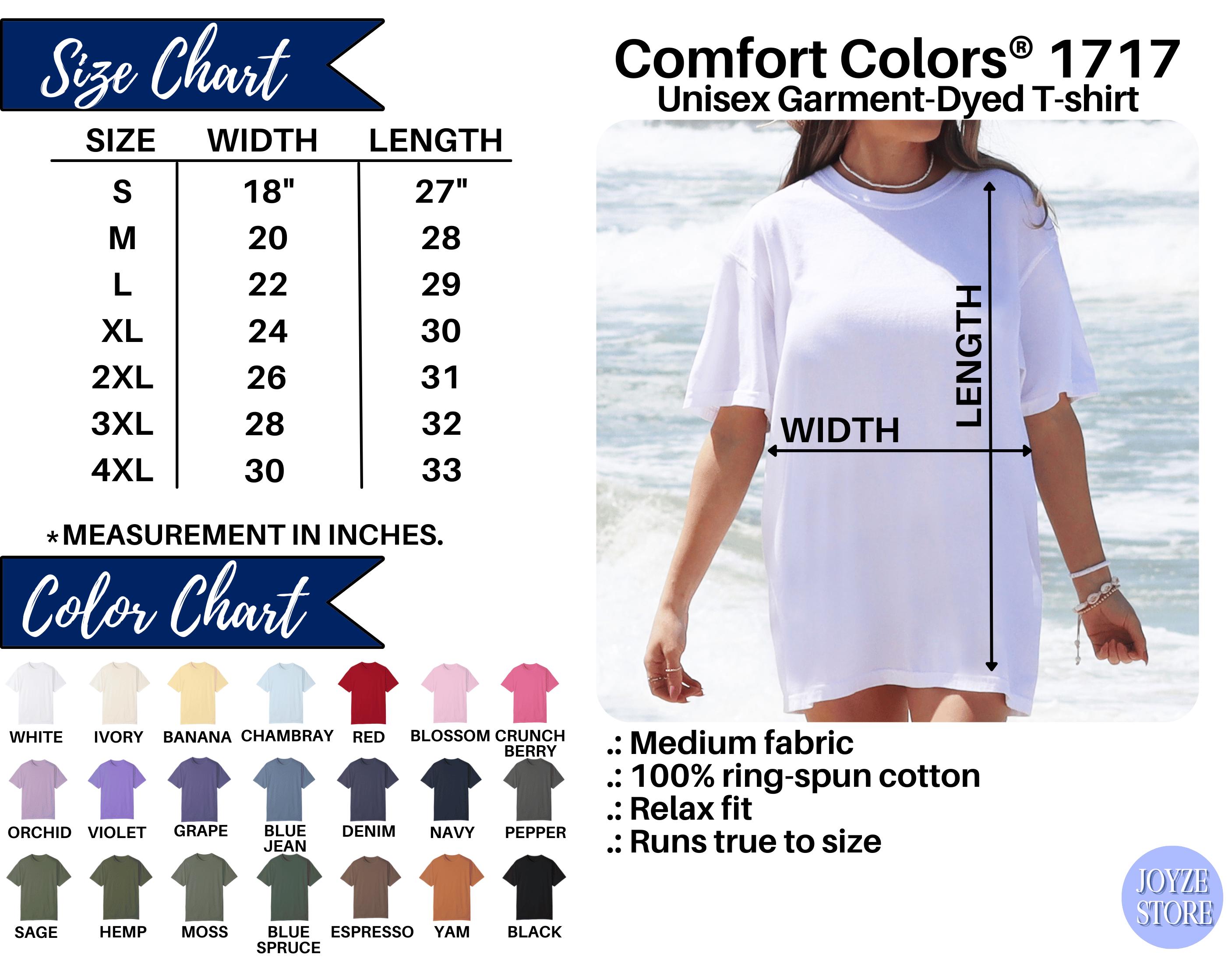 Comfort Colors 21st Bday Beach Shirt Funny 21st Birthday Shirt