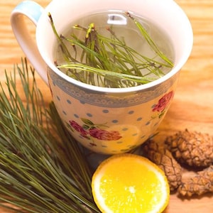 Peut inclure: Une tasse blanche à motifs bleus et floraux remplie d'une tisane verte clair. Une branche de  aiguilles de pin, une tranche de citron et des pommes de pin sont disposées autour de la tasse sur une surface en bois.