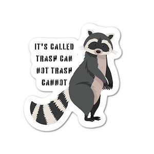 Raccoon Balloon Sticker / Trash Panda Sticker / Cute Animal Sticker /  Laptop Sticker / Vinyl Sticker 
