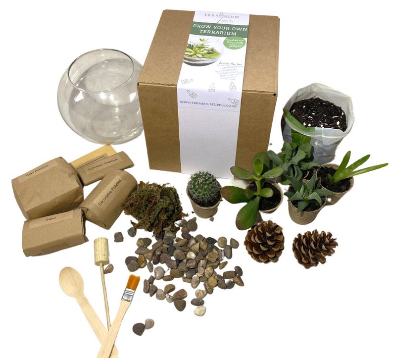 Terrarium Kit With Plants. Customised Ecofriendly Gift. Make at Home