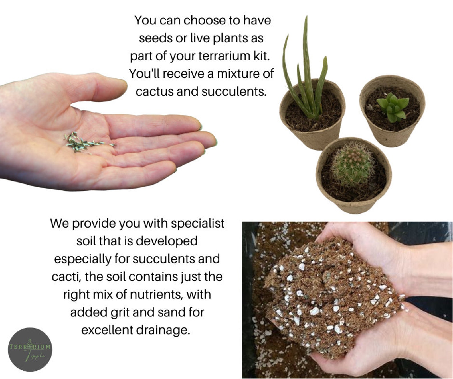 Terrarium Kit With Plants. Customised Ecofriendly Gift. Make at Home