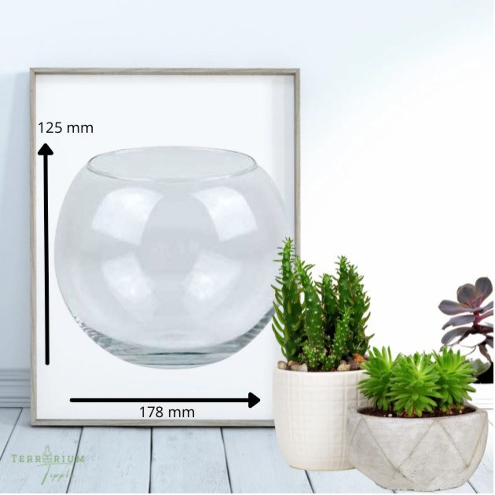 Terrarium Kit With Plants. Customised Ecofriendly Gift. Make at Home