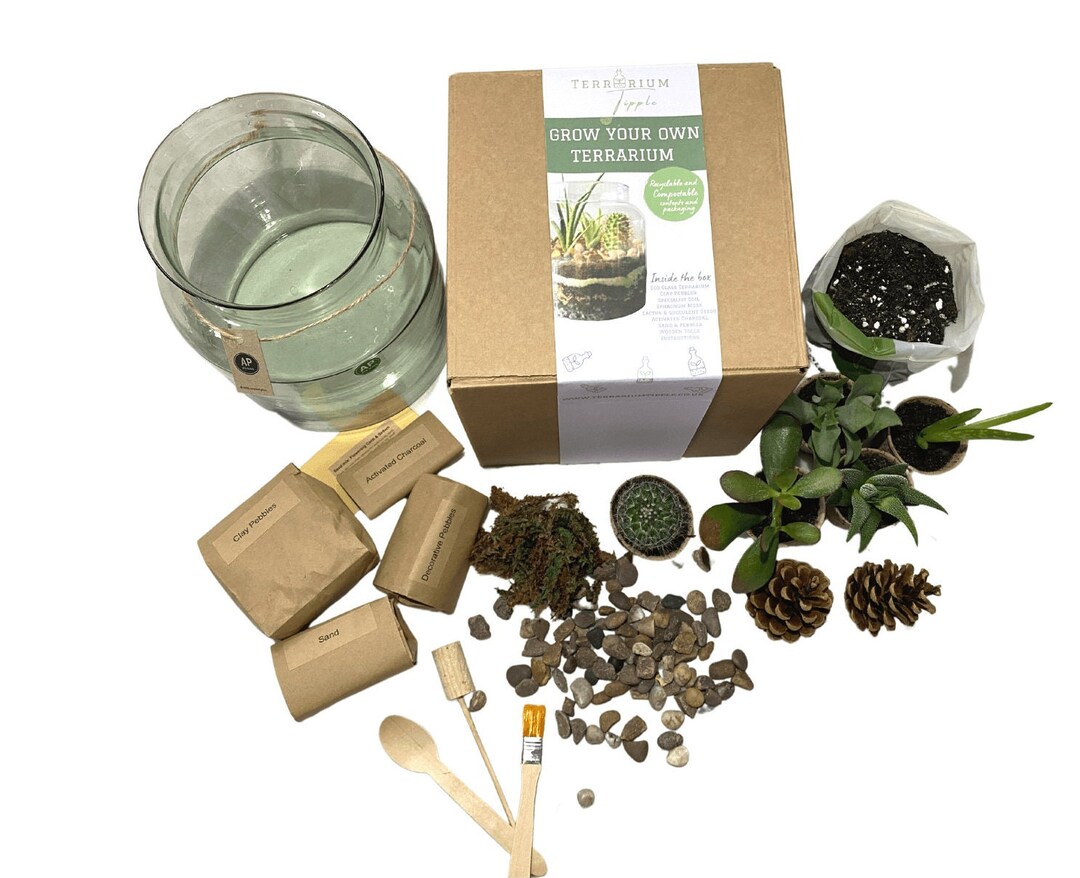 DIY Terrarium Kit With Plants. Personalised Message. Make at Home Complete Terrarium Kit. Grow