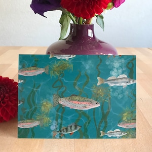Postcard Fish