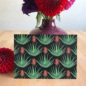 Postal Aloe vera