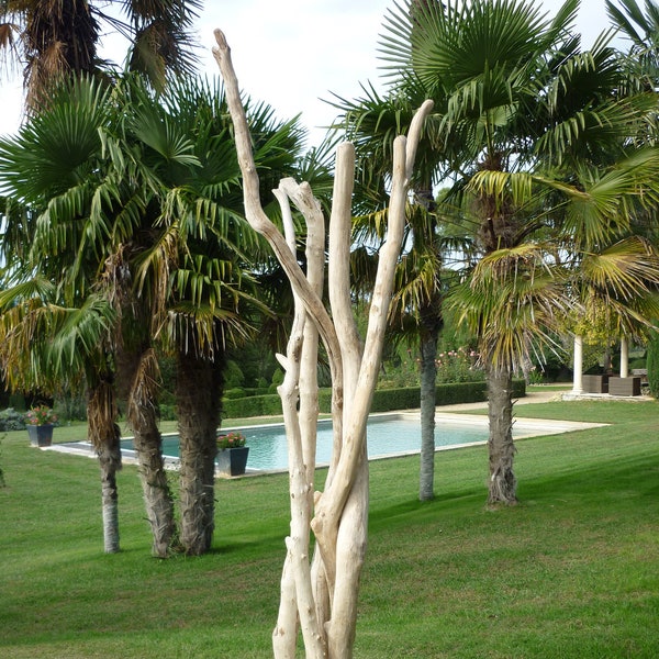 Sculpture de branches de bois flotté